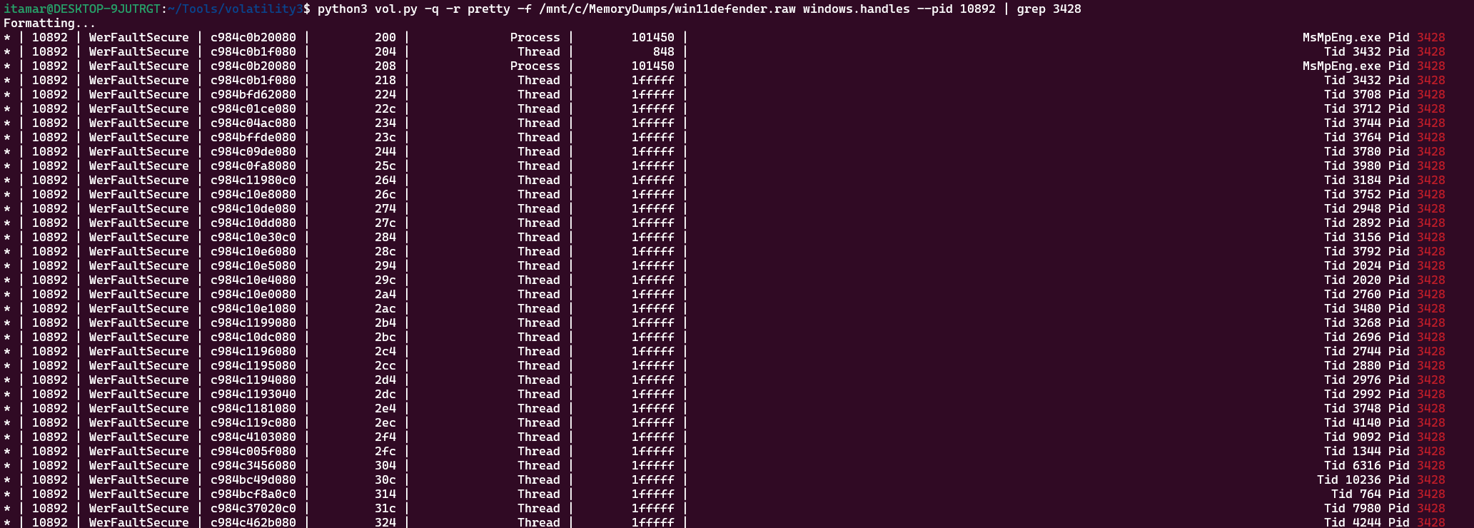WerFaultSecure threads in 3428
